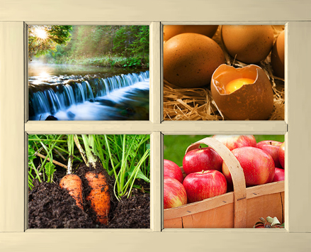 Four images in a window. Top left is of a waterfall, top right is of eggs on straw with one top removed to show a raw egg inside, bottom left shows carrots in soil, bottom right shows red apples in a basket
